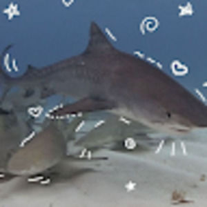 Meet your Posher, Eda